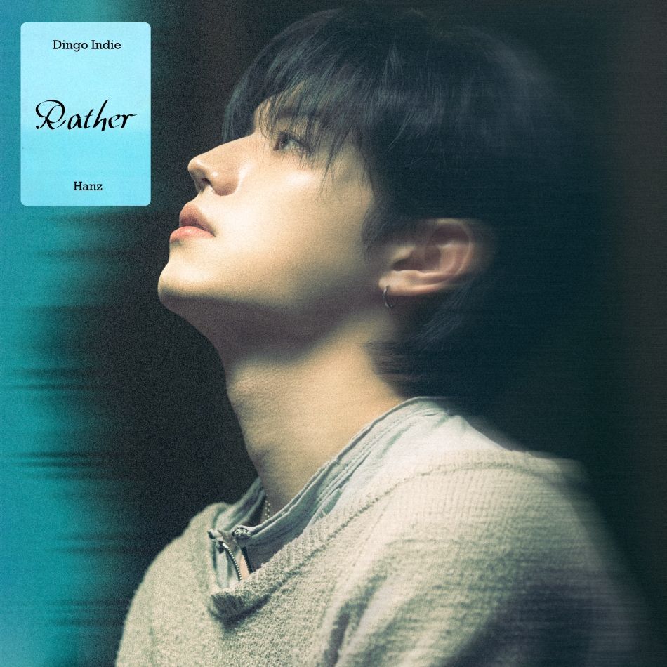 HANZ ディンゴパレット Charari