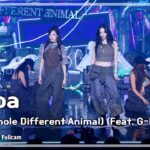 aespa　「WDA」ショー!音楽中心出演　ストリート全開の装いとニンニンのスワッグに見入る