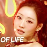 KISS OF LIFE　Show Champion　〝SWEAT〟に太陽のセット　ジュリーはポニーテールで登場