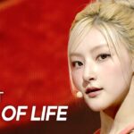 KISS OF LIFE　Show Champion　〝SWEAT〟の背景は炎から雨へ　4人並ぶエンディング