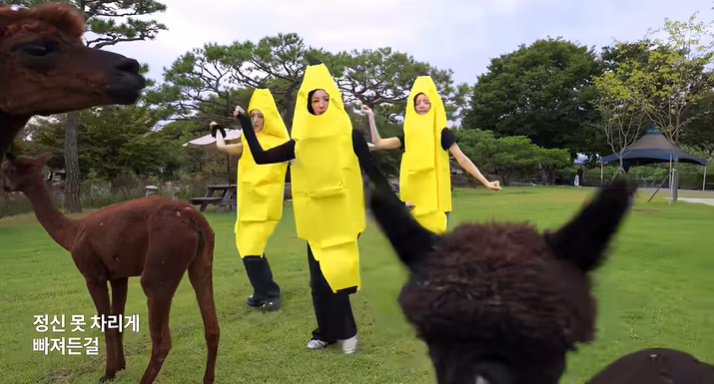 バナナ衣装でアルパカの前に立つICHILLIN' Jの3人(写真提供:KMエンターテインメント)