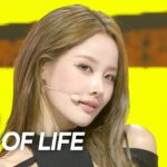 KISS OF LIFE　Show Champion　〝WHAT!〟のランウェイに紙吹雪　指先はネイル型グローブ
